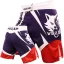 VSZAP FIGHT SHORTS 2